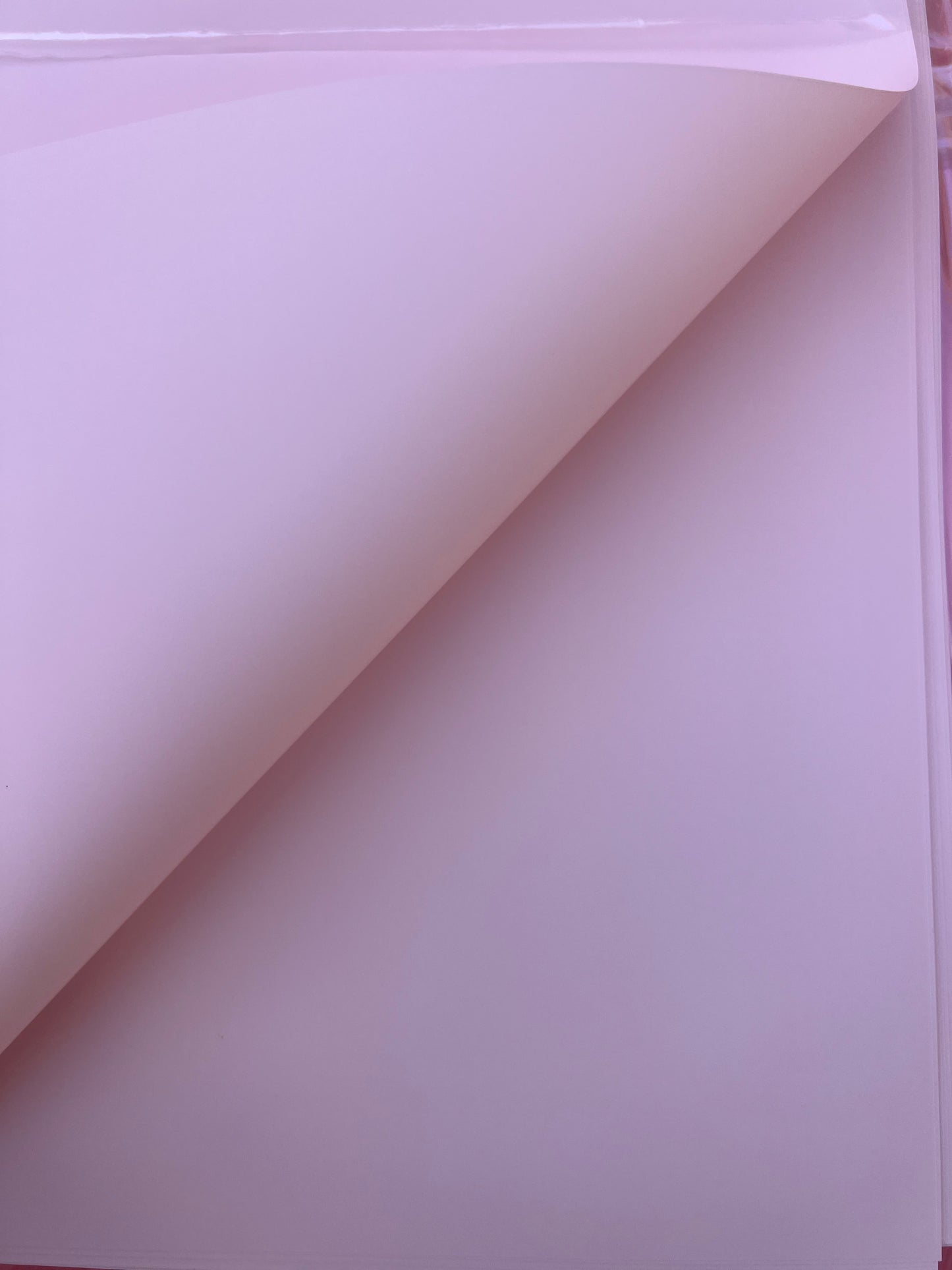 Baby Pink Floral Wrapping Paper