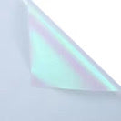 Iridescent Floral Wrapping Paper