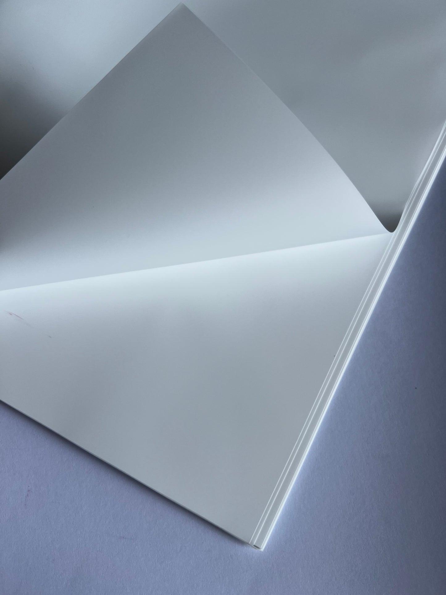Matte White Floral Wrapping Paper